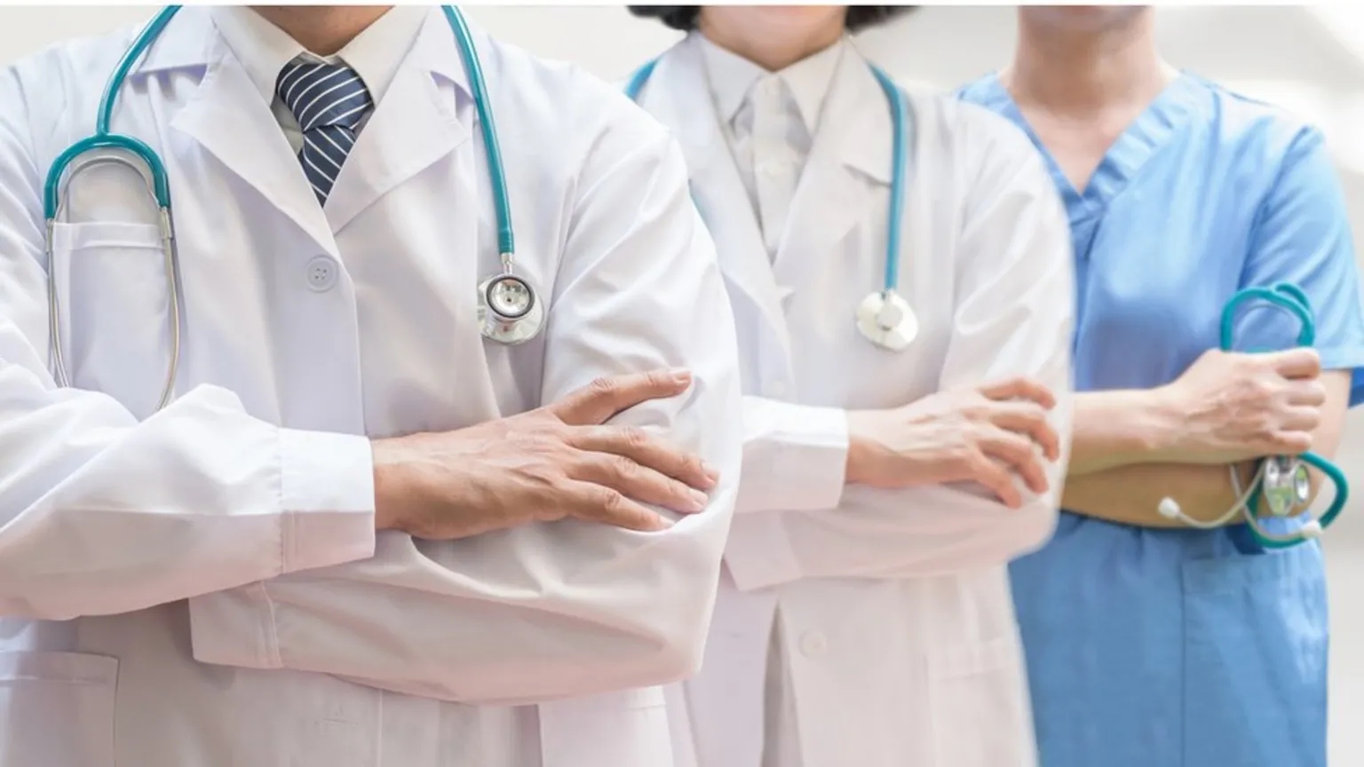 淘宝怎么买乌蝇粉