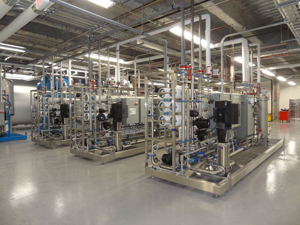 女人吃完红蜘蛛后