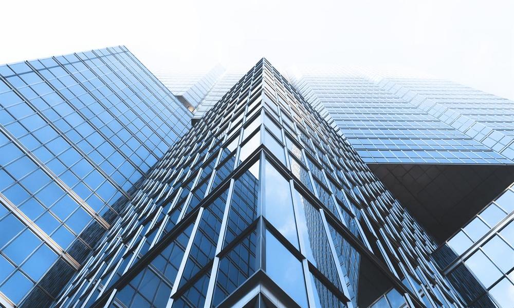 苍蝇粉在拼多多暗名