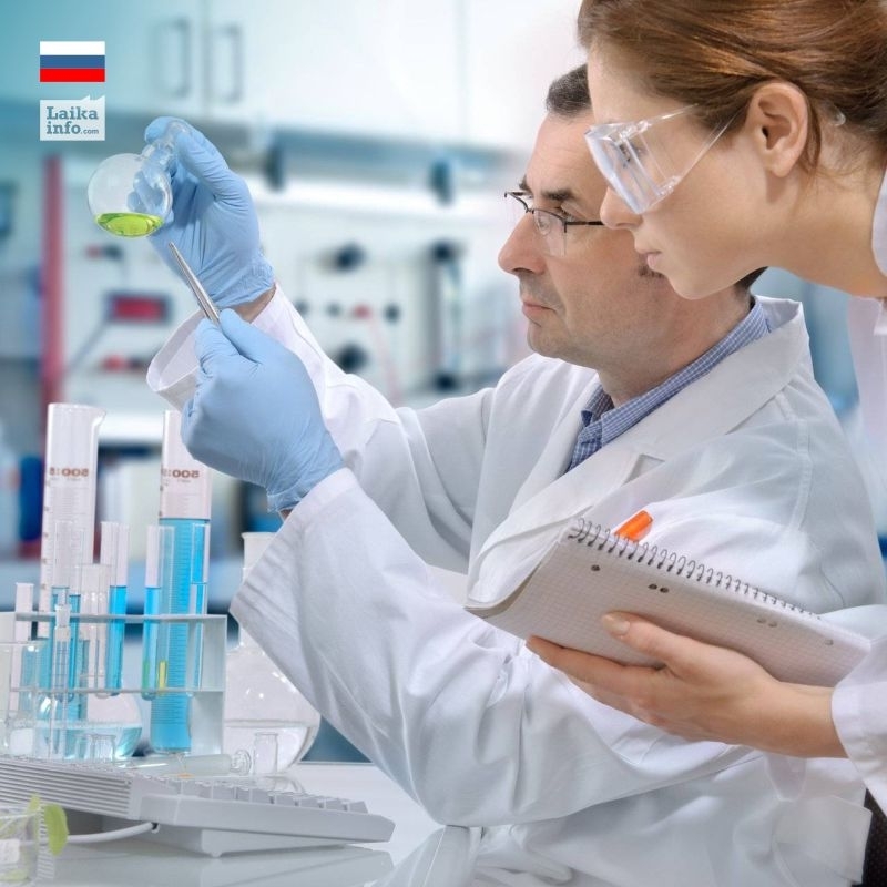 西班牙金苍蝇真假