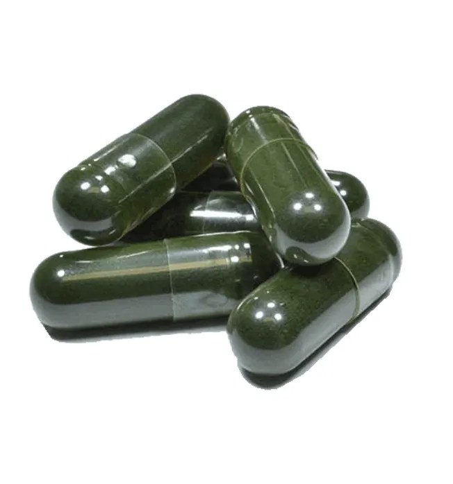 金苍蝇迷情液用后感