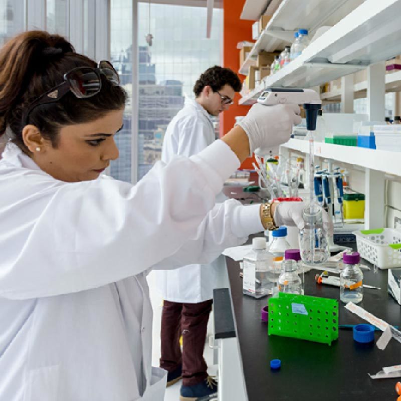 霸王花催情水用法