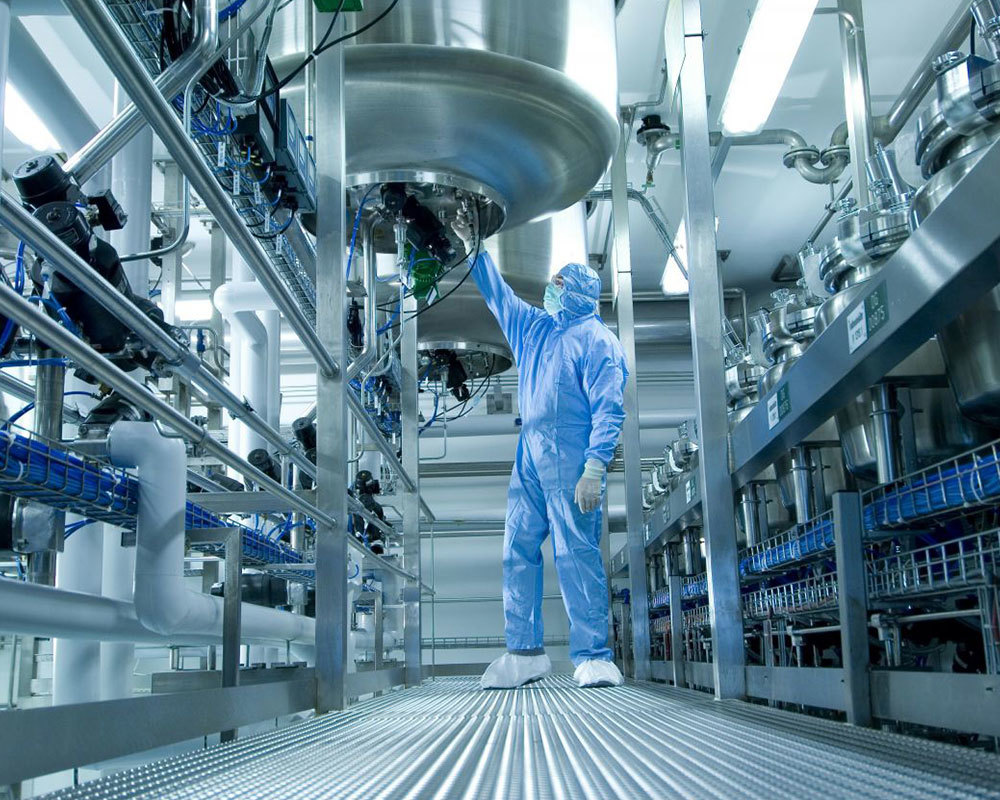 日本蓝精灵购买平台